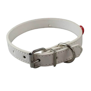 Red Apple Core Choker